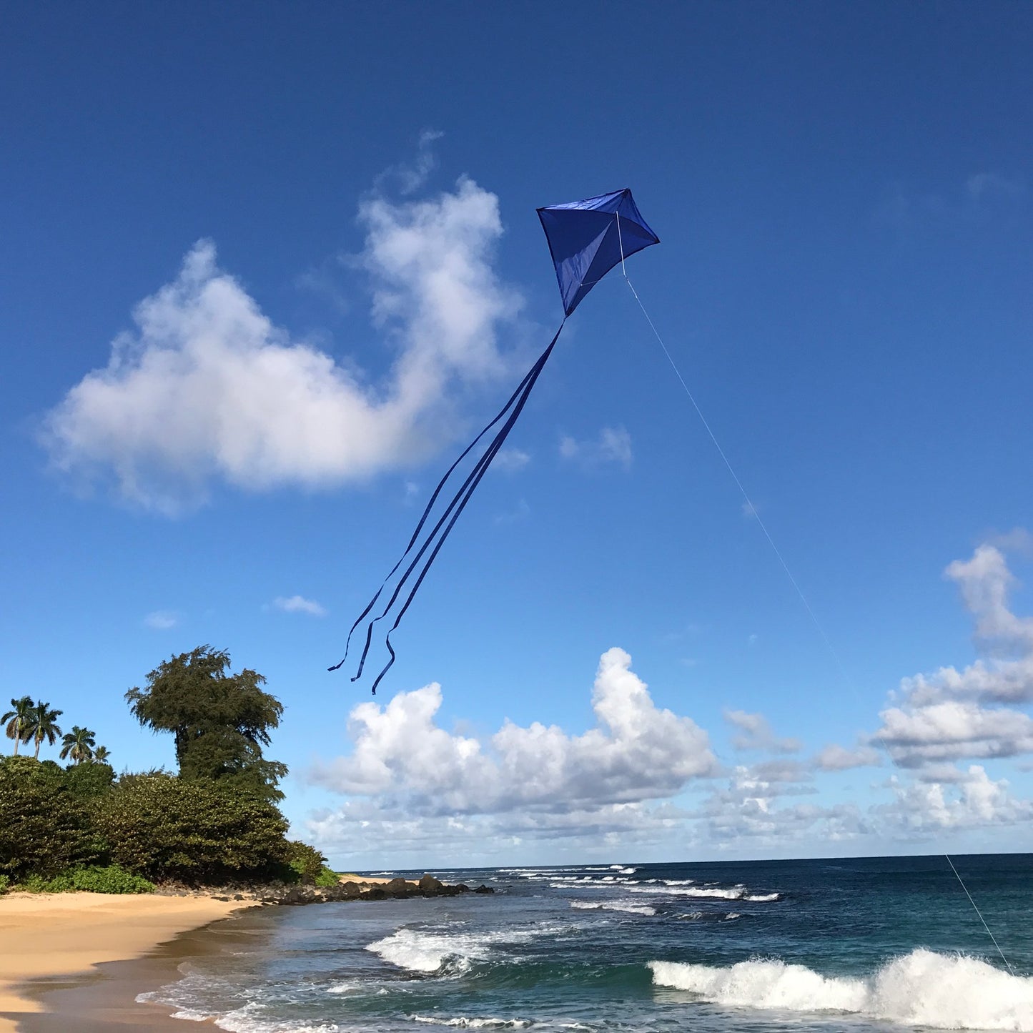 30" Solid Diamond Kite - Blue