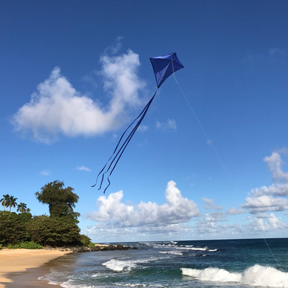 30" Solid Diamond Kite - Blue