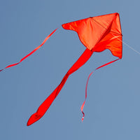 In the Breeze Solid Color Fly-Hi Kites