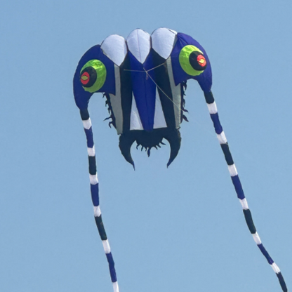 10M Trilobite Kite - Blue/White