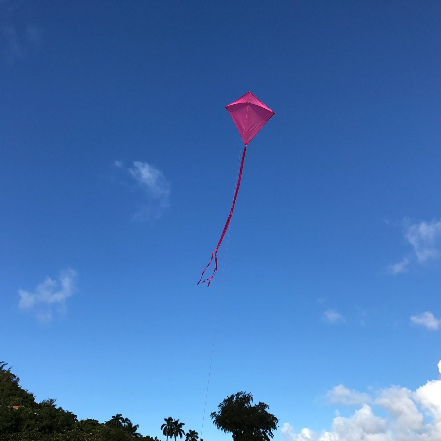 30" Solid Diamond Kite - Pink