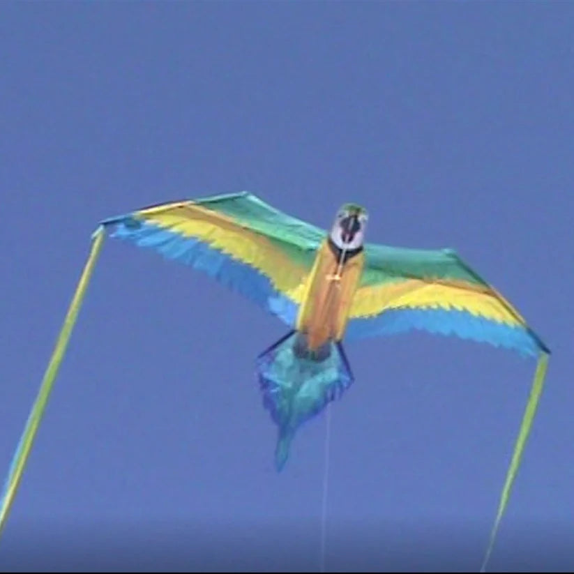 Macaw Bird RainForest Kite