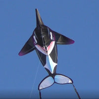 Orca SeaLife Kite