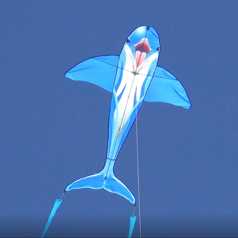 Dolphin SeaLife Kite