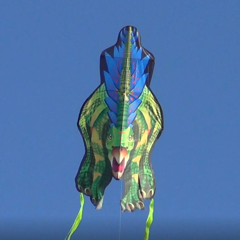 Stegosaurus DinoSoars Kite