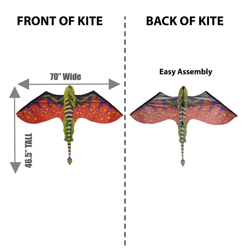 70" FantasyFliers Kite - Pterodactyl