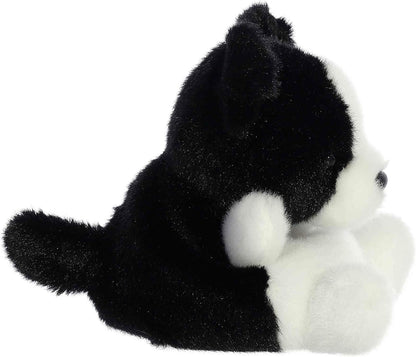 Aurora 5" Palm Pals - Brody Collie