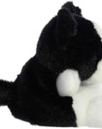 Aurora 5" Palm Pals - Brody Collie