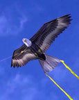 Supersized Bird of Prey - 70" Eagle Kite