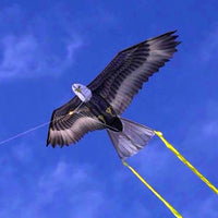 Supersized Bird of Prey - 70" Eagle Kite