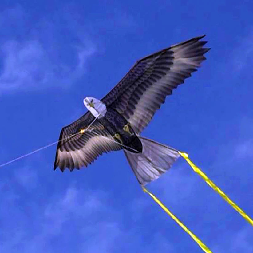 Supersized Bird of Prey - 70" Eagle Kite