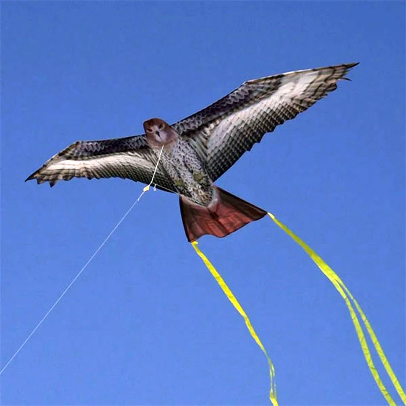 Supersized Bird of Prey - 70&quot; Hawk Kite