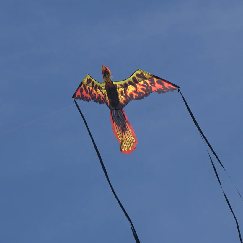 WindNSun Supersize 3D Firebird Phoenix Kite