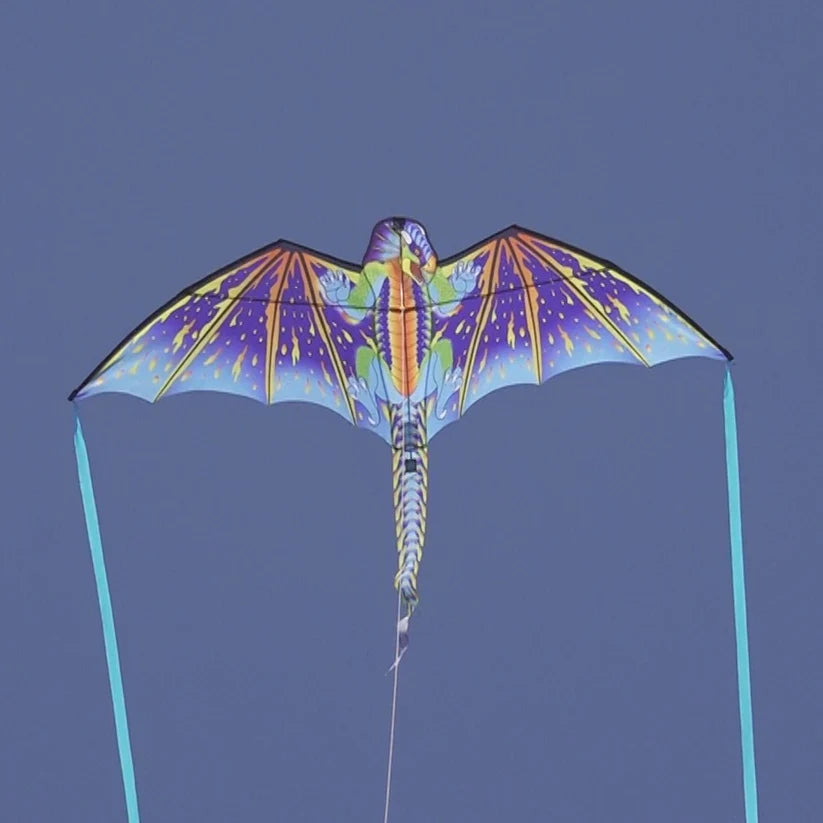 WindNSun 70&quot; Dragon Supersized Kite