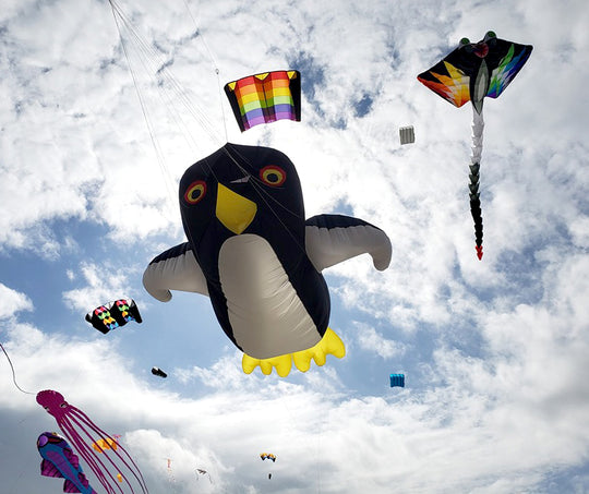 a plethora of giant kites in the sky, a penguin in the foreground