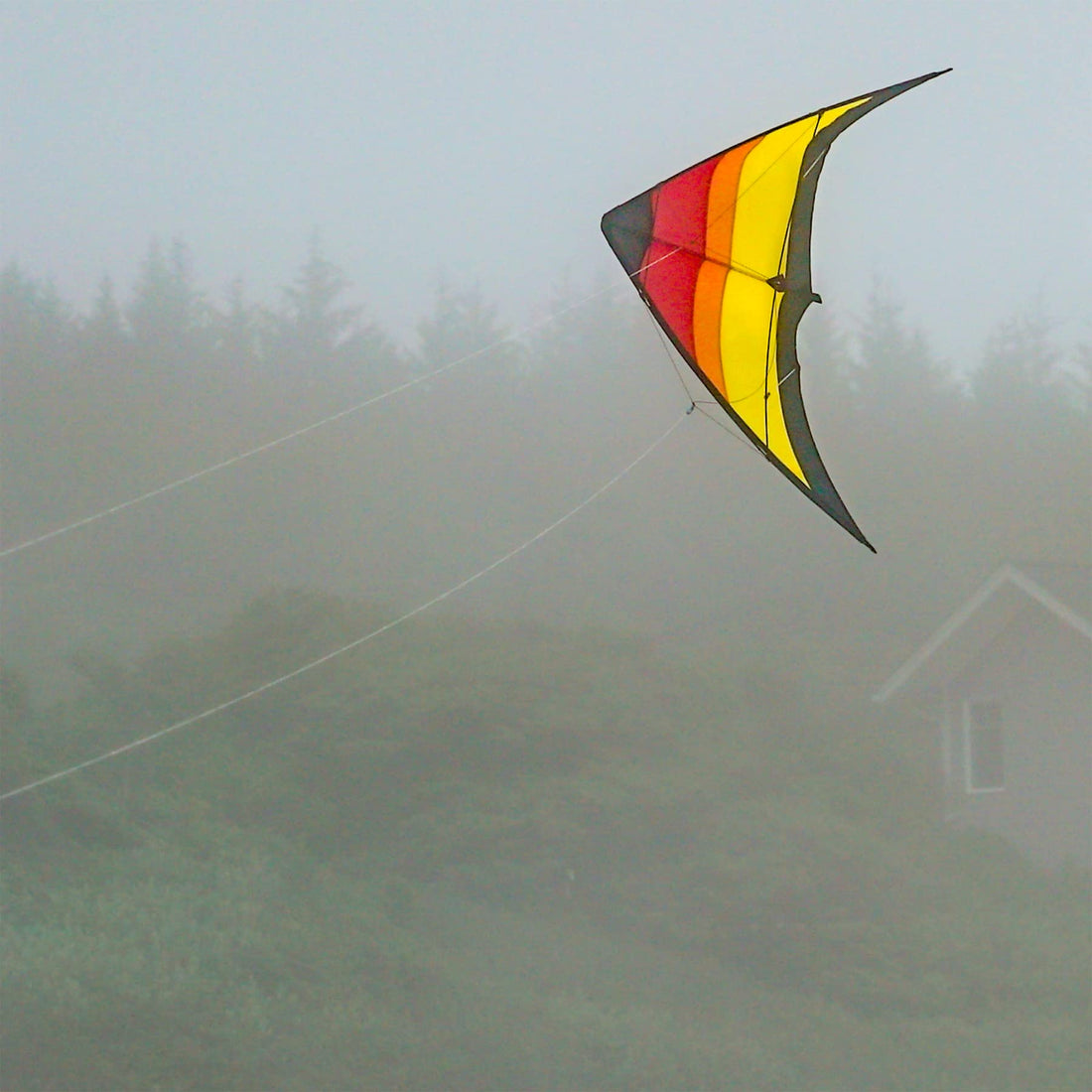 In the Breeze Sunset Sport Kite with Straps, 55-Inch