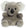 Wiggles Koala