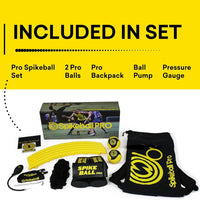 Spikeball Pro Game