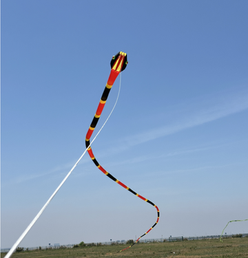 55m Inflatable Snake Kite - Red/Yellow