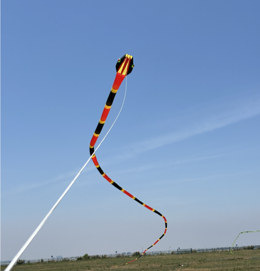 55m Inflatable Snake Kite - Red/Yellow