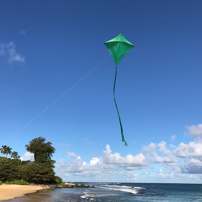 30" Solid Diamond Kite - Green