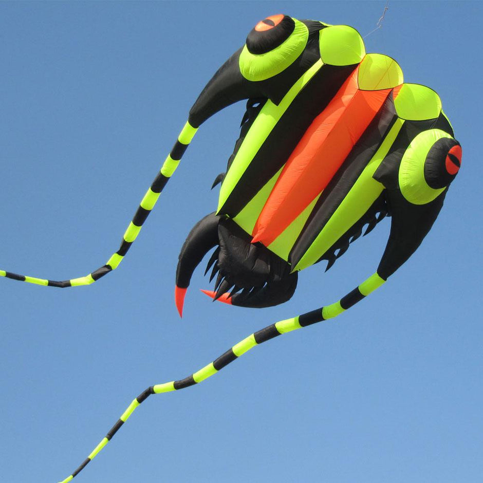 Inflatable Kites & Colorful Show Kites – Kitty Hawk Kites