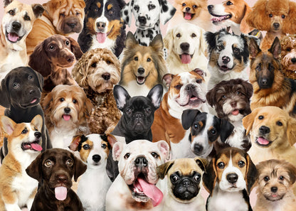 All The Dogs - 1000 Piece Puzzle
