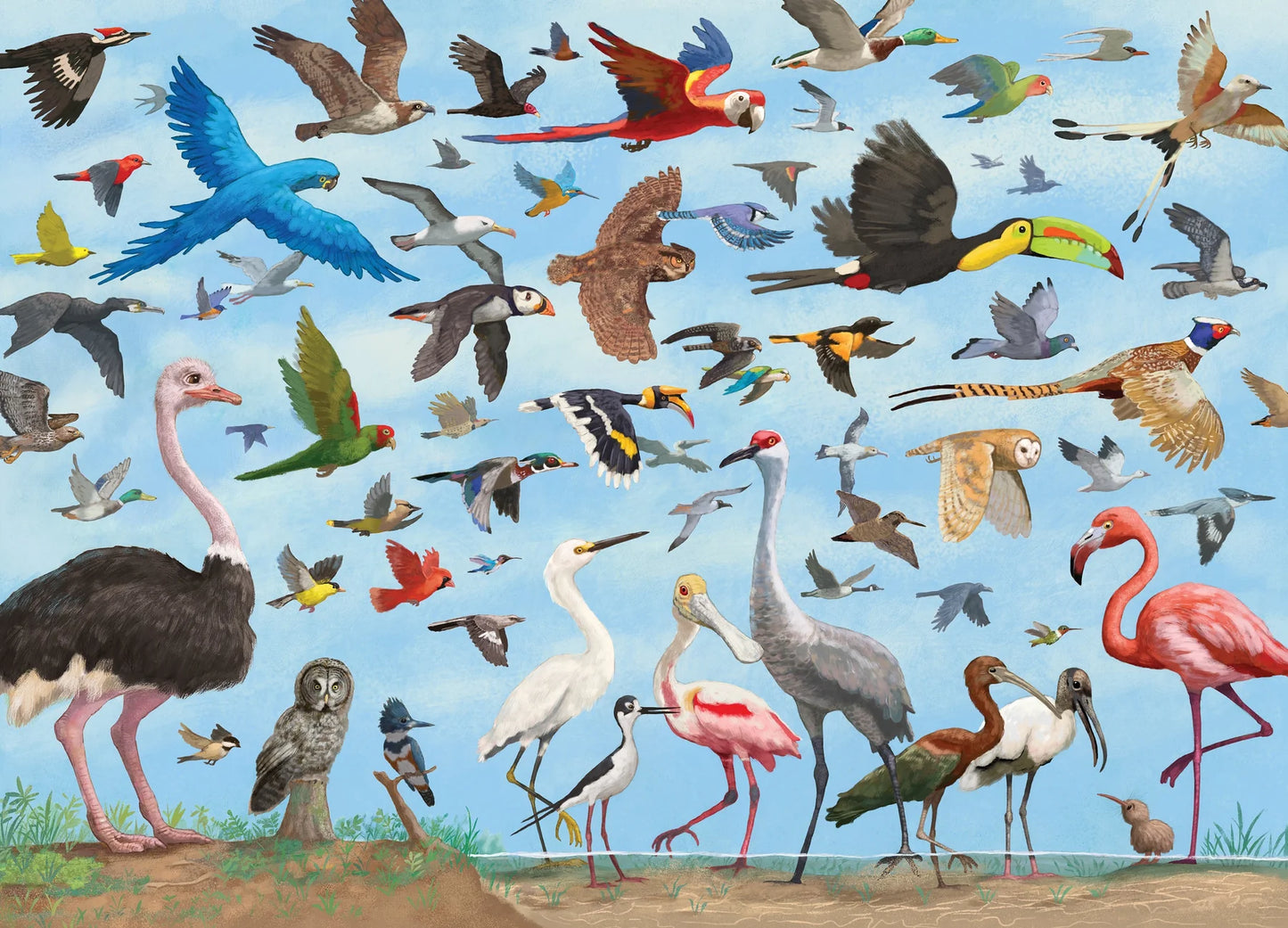 All The Birds - 1000 Piece Puzzle