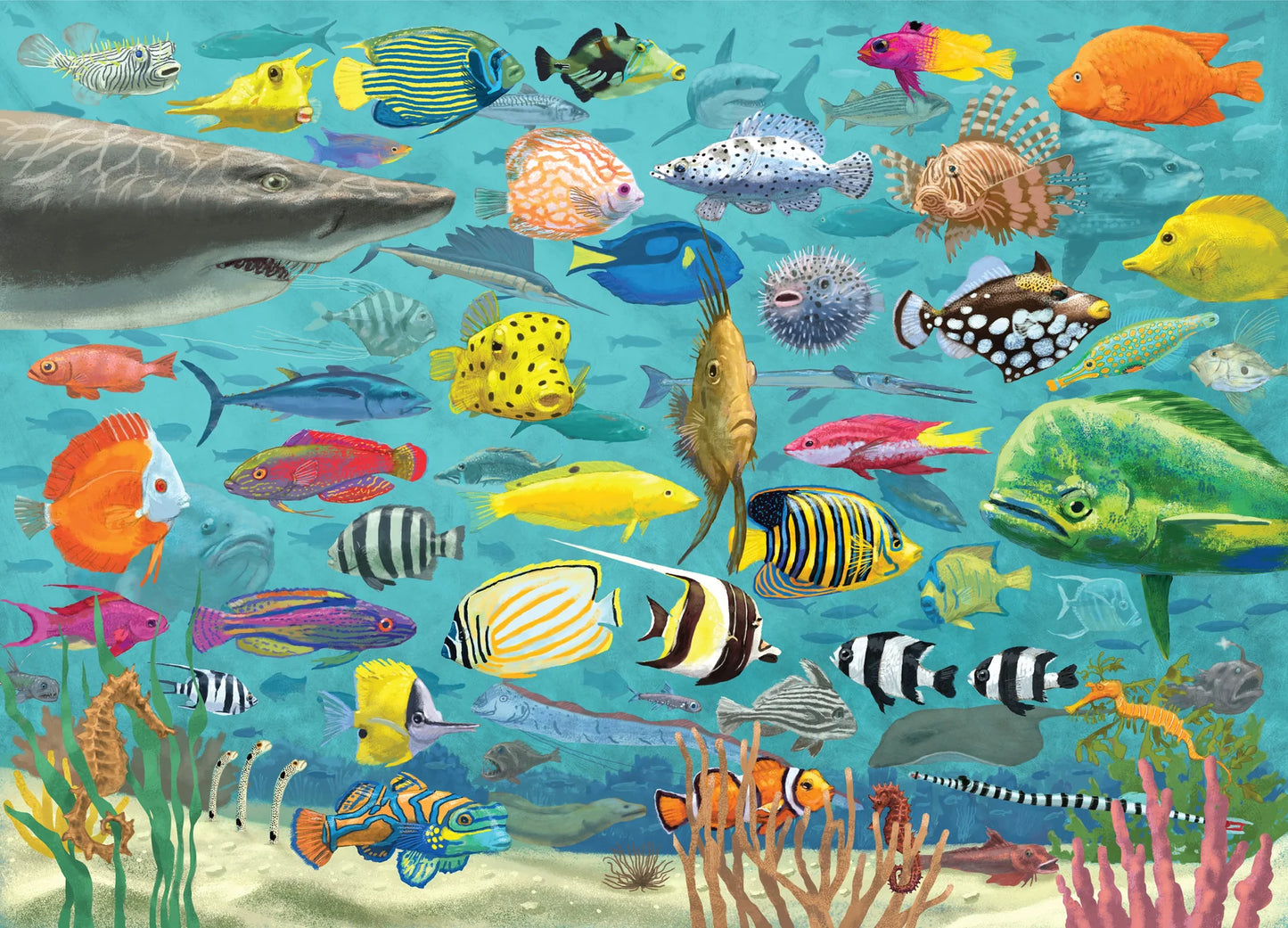 All The Fish - 1000 Piece Puzzle