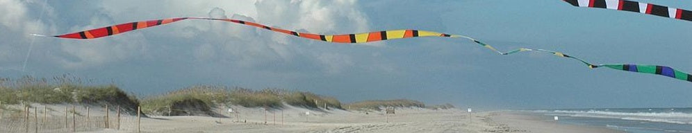 50ft Transition Tail - Rainbow