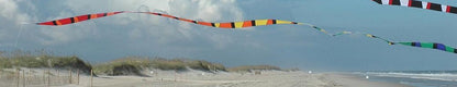 50ft Transition Tail - Rainbow