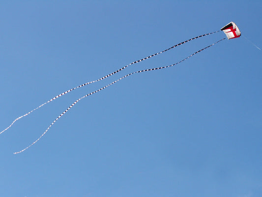 5in. X 100ft Transition Tail - Black/White