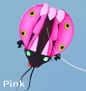 5m Inflatable Ladybug - Pink