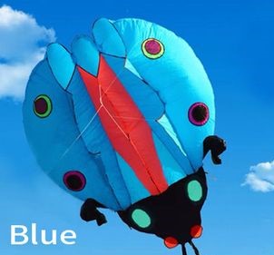 5m Inflatable Ladybug - Blue