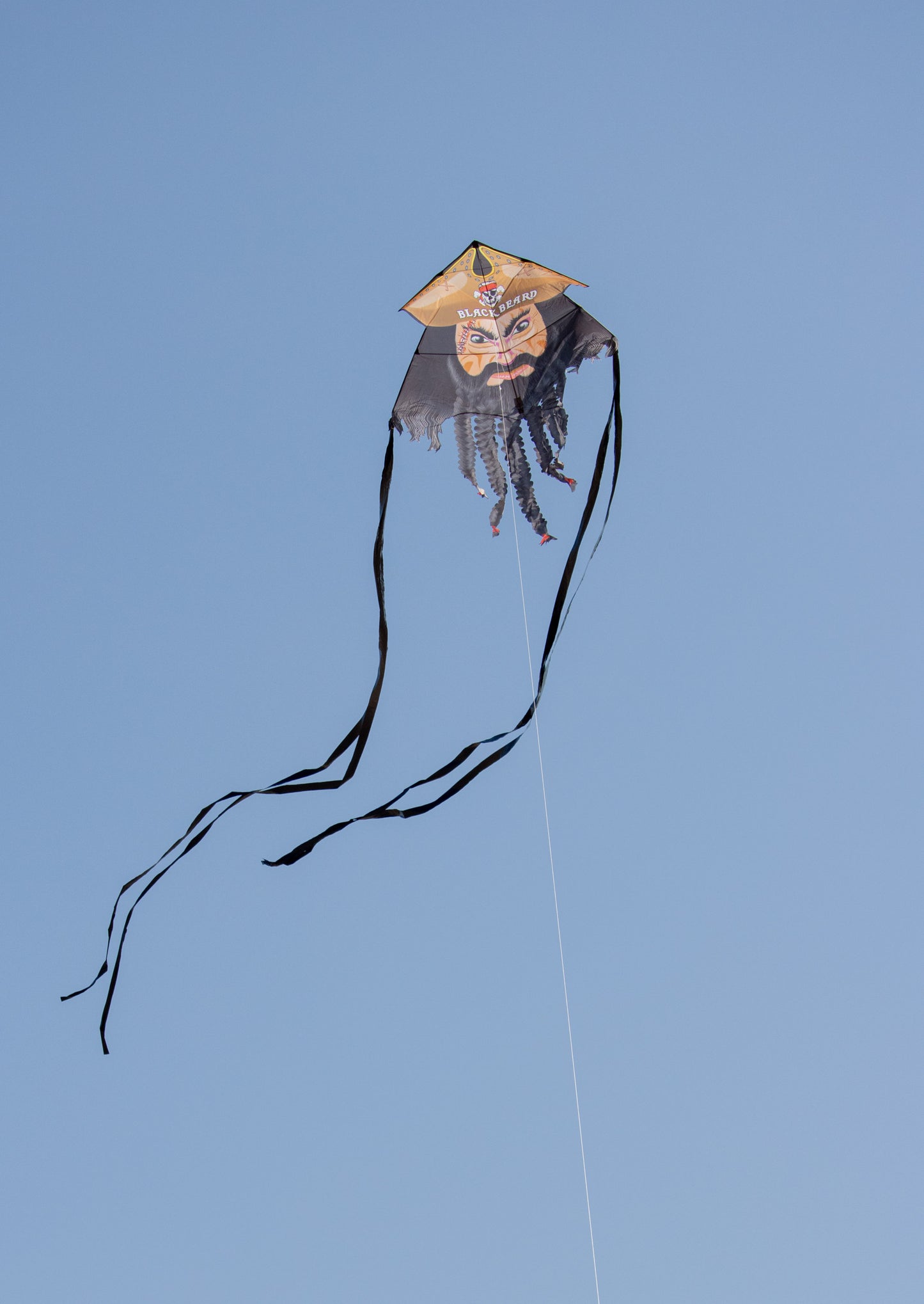 81" Blackbeard Supersized Kite