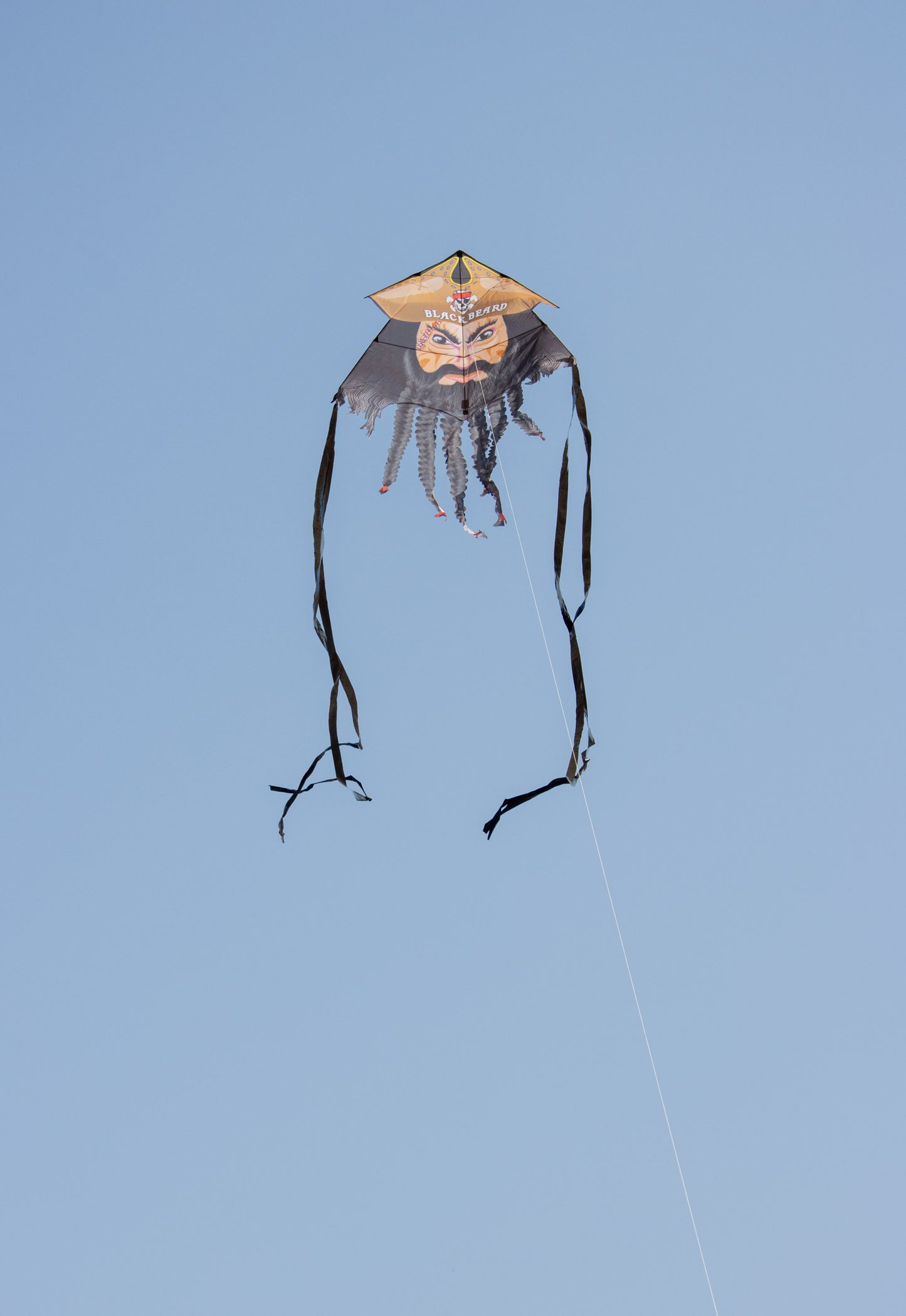 81" Blackbeard Supersized Kite