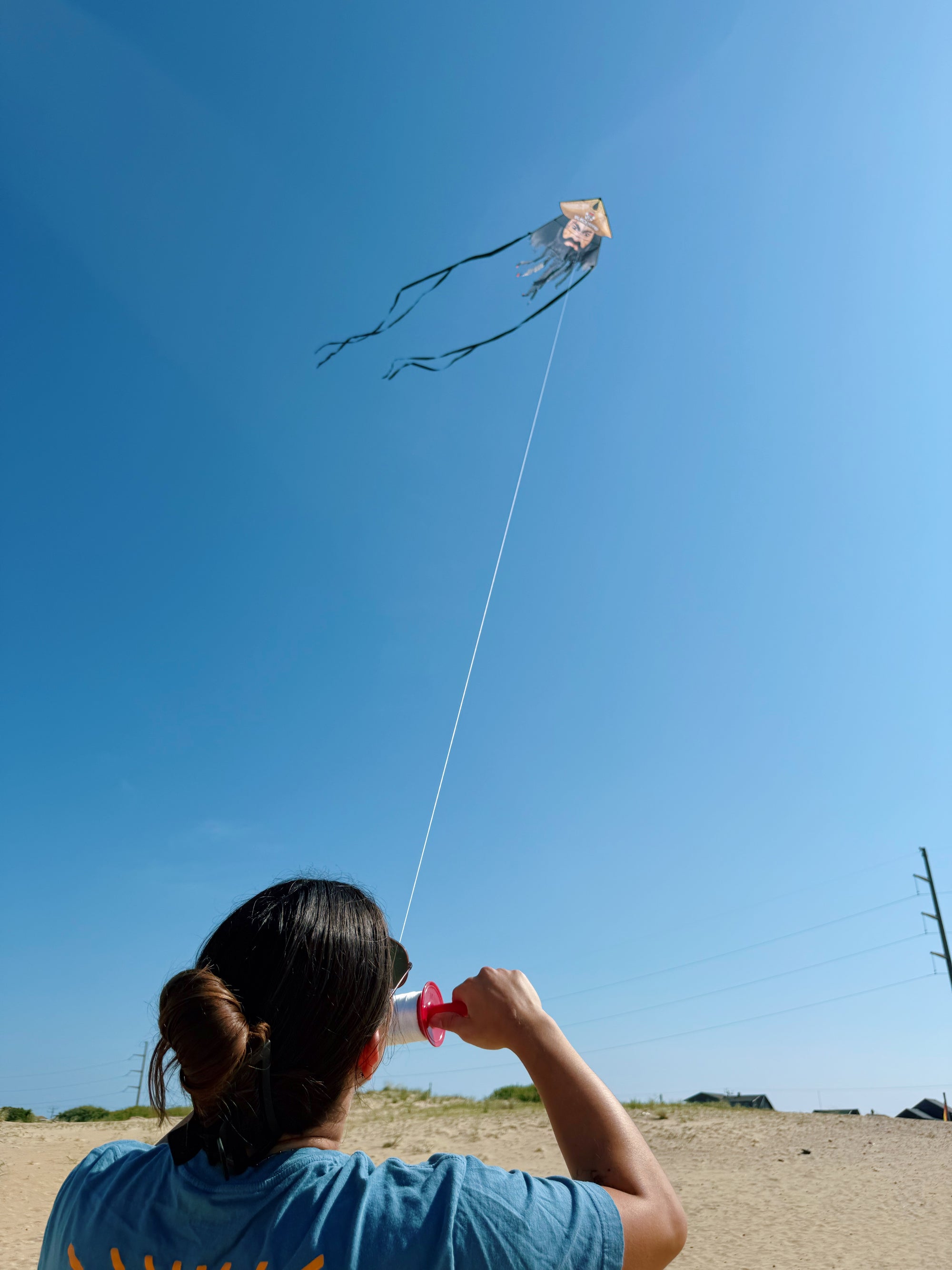 81&quot; Blackbeard Supersized Kite