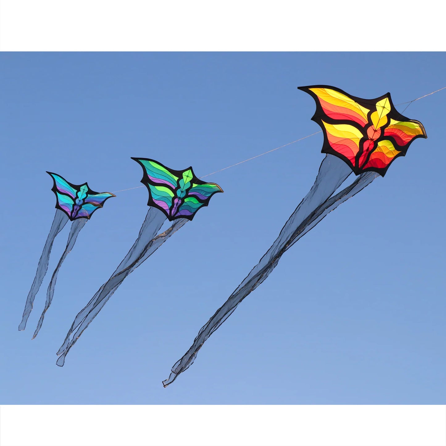 Brasington Butterfly by Spiderkites - Yellow/Red