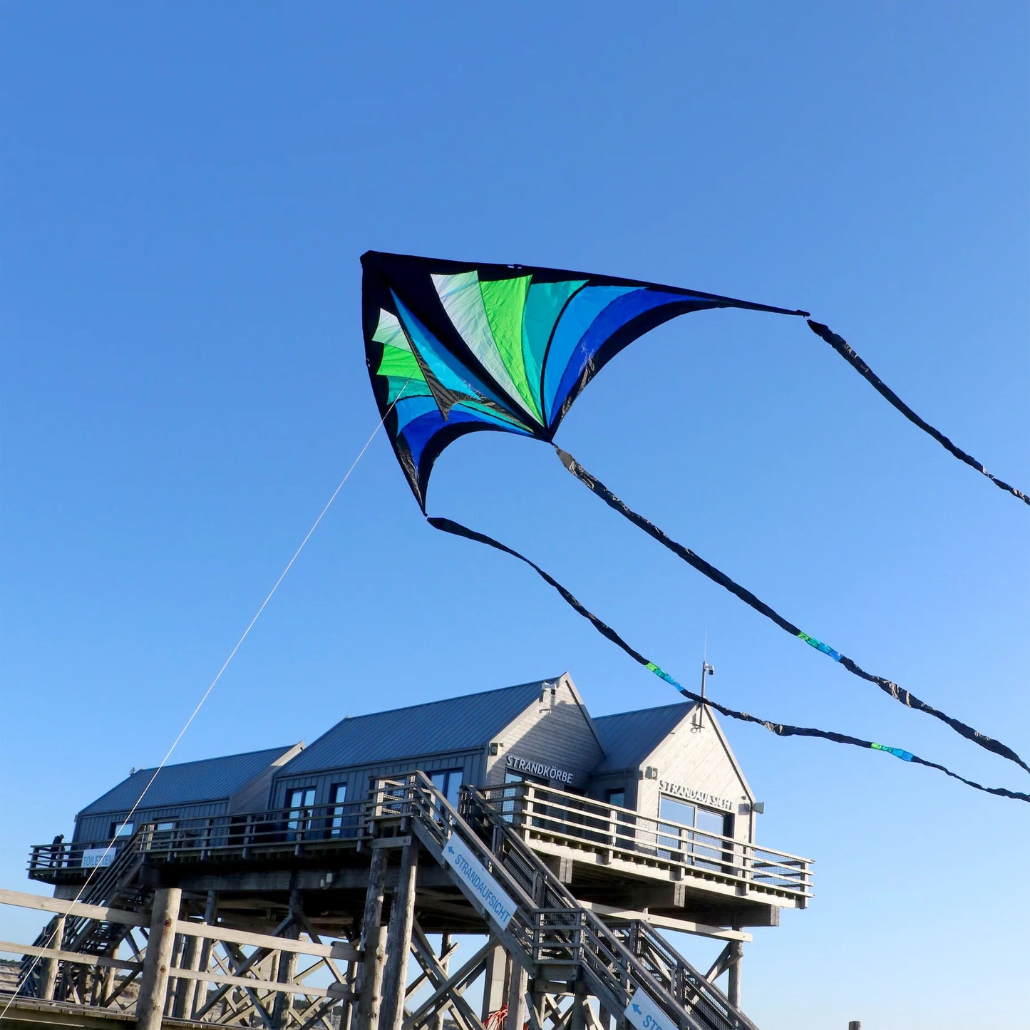 Taz Delta by Spiderkites - Blue/Green