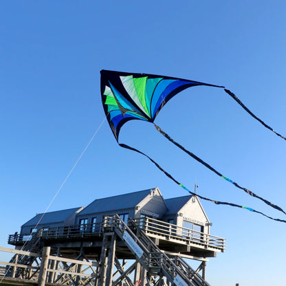 Taz Delta by Spiderkites - Blue/Green