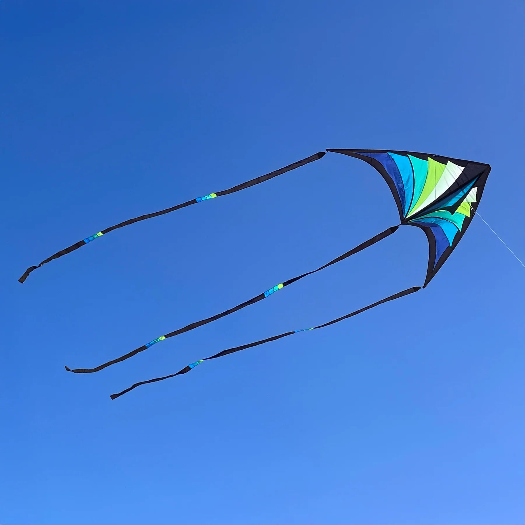 Taz Delta by Spiderkites - Blue/Green