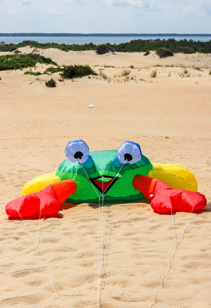 Large 3M Billy the Bouncing Crab - Green