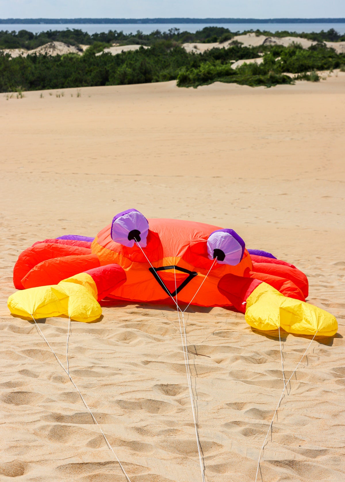 Large 3M Billy the Bouncing Crab - Sunset