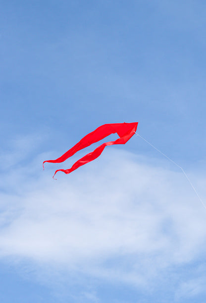 HQ 6.5 Foot Red Pyro Delta Kite