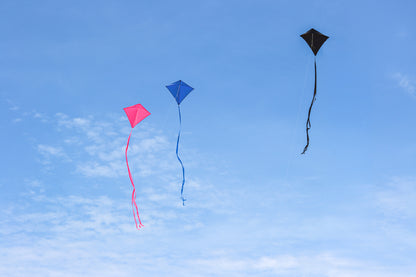 30" Solid Diamond Kite - Black