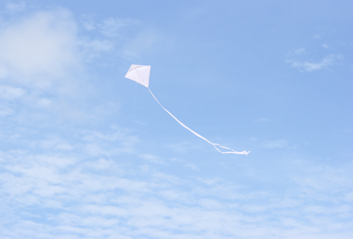 30" Solid Diamond Kite - White