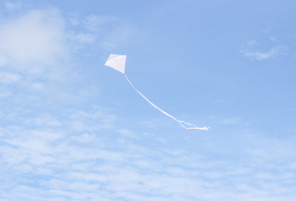 30" Solid Diamond Kite - White