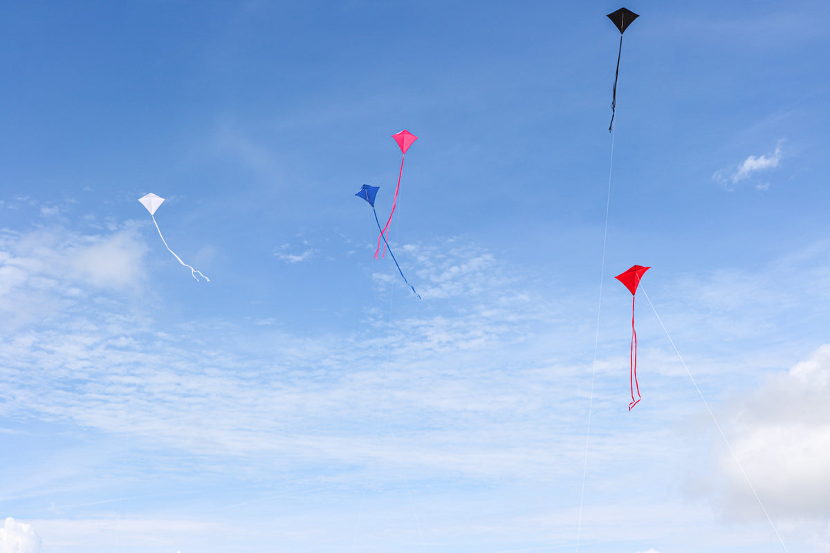 30" Solid Diamond Kite - Black