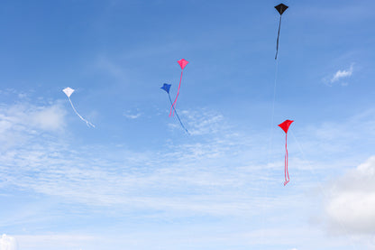 30" Solid Diamond Kite - Black