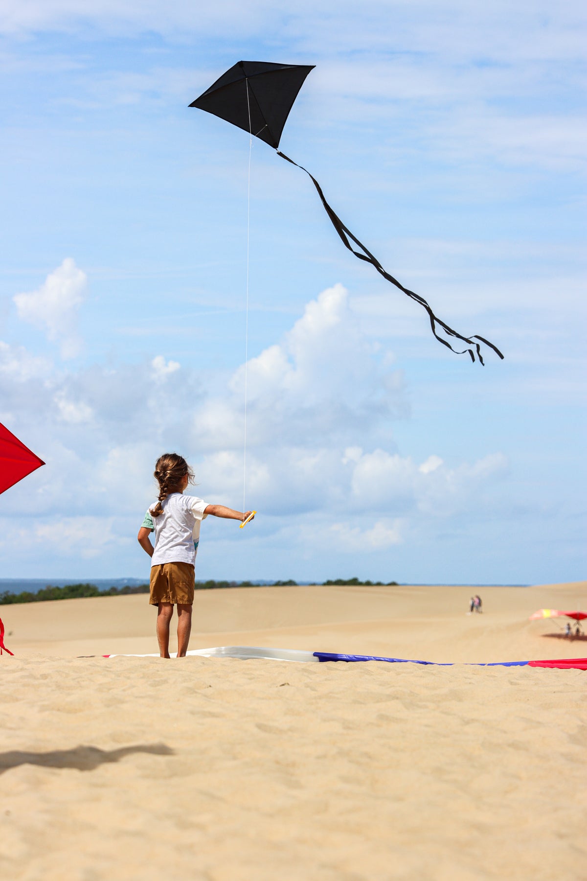 30" Solid Diamond Kite - Black